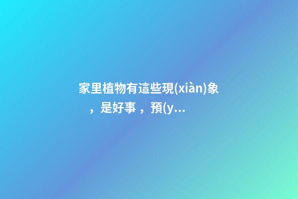 家里植物有這些現(xiàn)象，是好事，預(yù)示你家要發(fā)大財(cái)了！